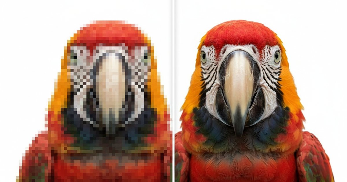 Lossless Image Compression: When You Actually Need It